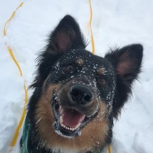 Meet your Posher, Lindsey